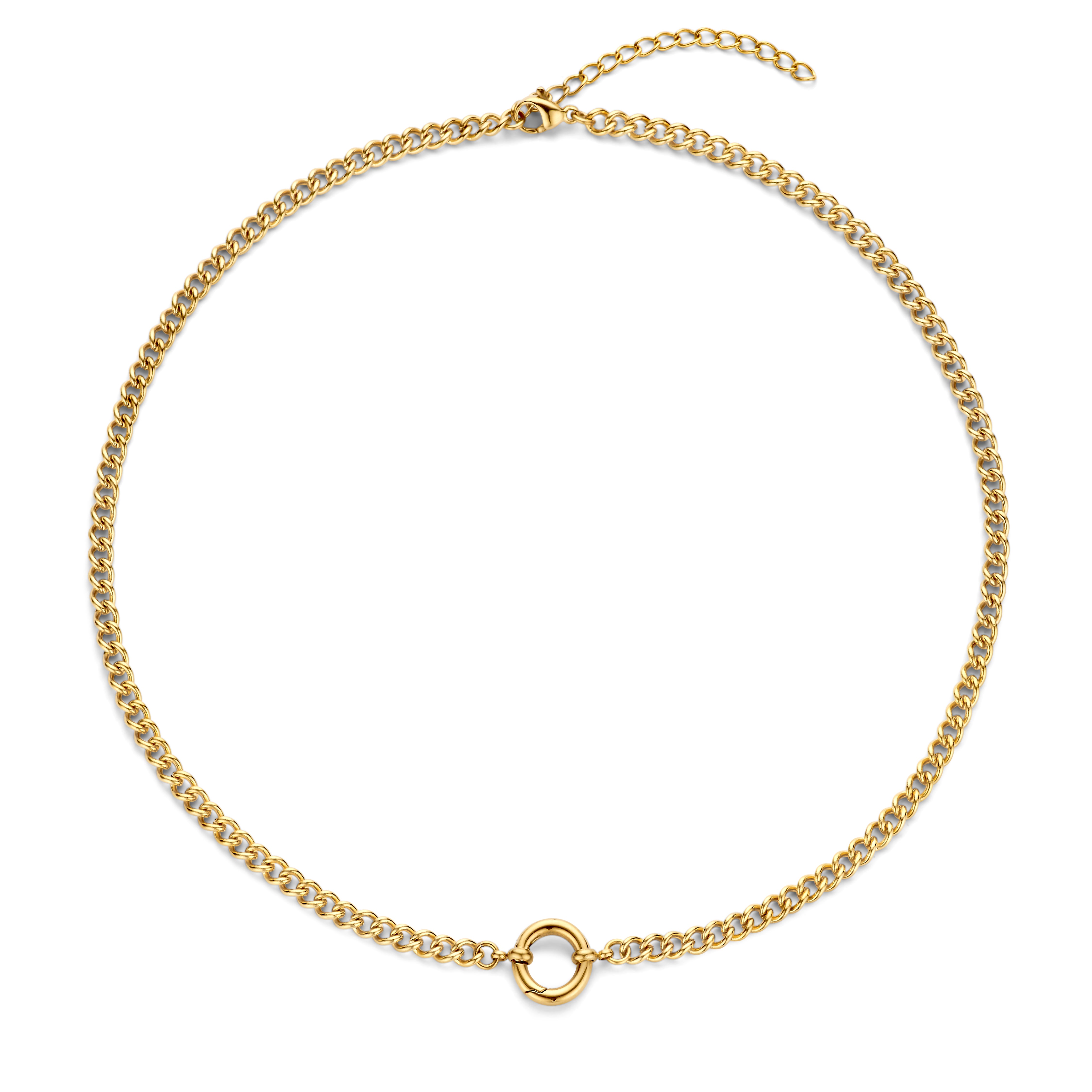 Small Figaro Chain and Ring Clasp Necklace