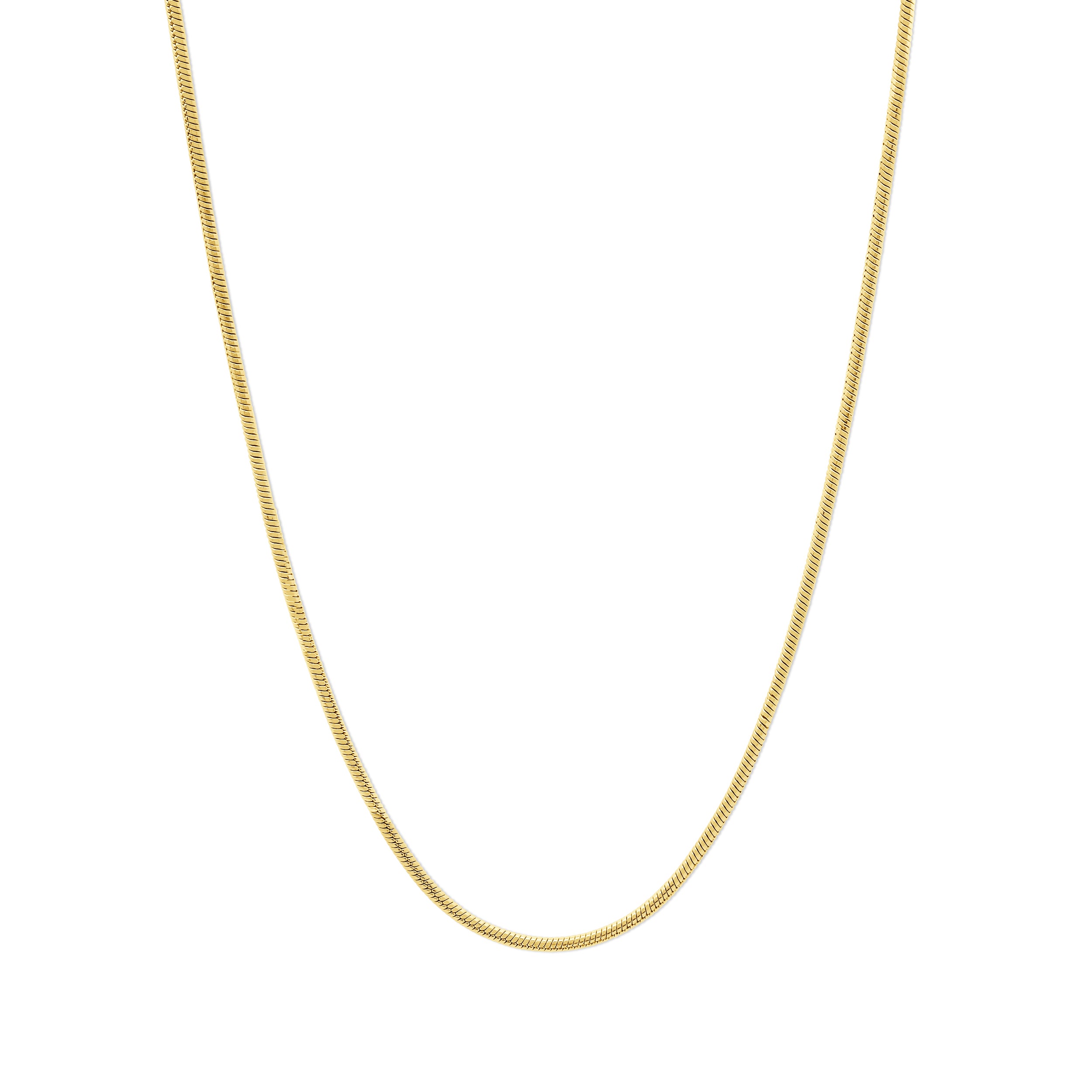 Small Snake Chain Necklace
